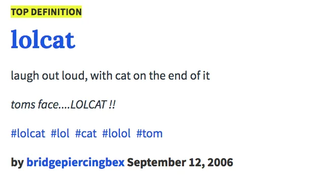 LOLcats / I Can Has Cheezburger