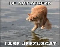 LOLcats / I Can Has Cheezburger