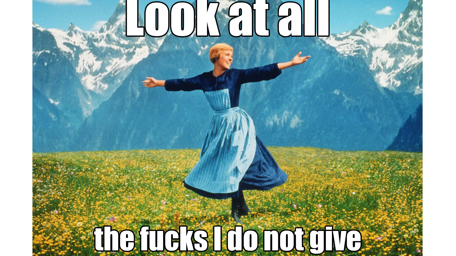 The definitive image macro for the meme: Julie Andrews from The Sound of Music paired with the sarcastic caption 'Look at all the fucks I do not give.'