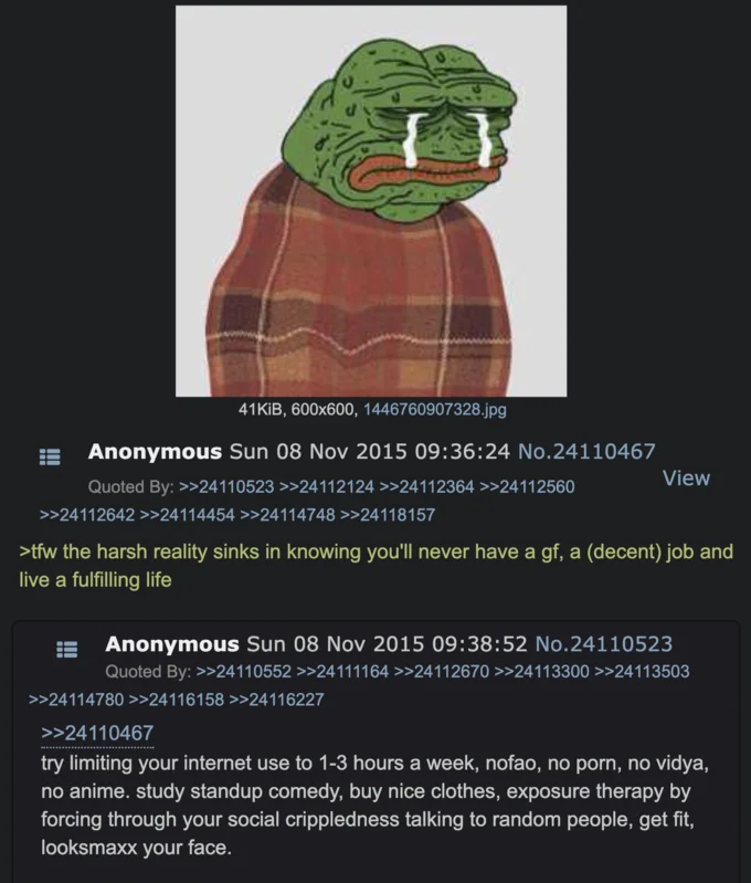 4chan Pepe meme discussing looksmaxxing.