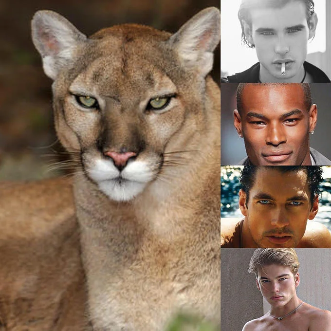 Looksmaxxing