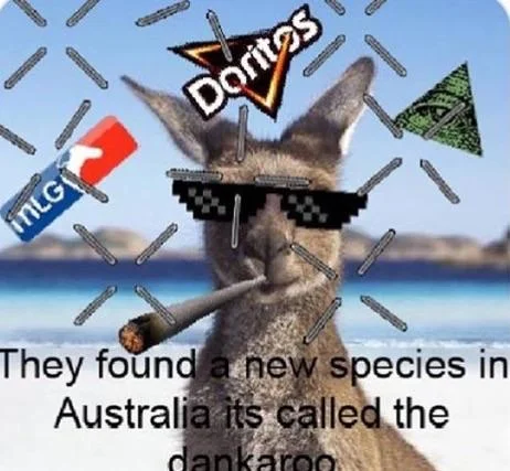 A 'dankaroo' image macro applying the MLG treatment — sunglasses, blunt, Doritos and Illuminati — to a kangaroo.