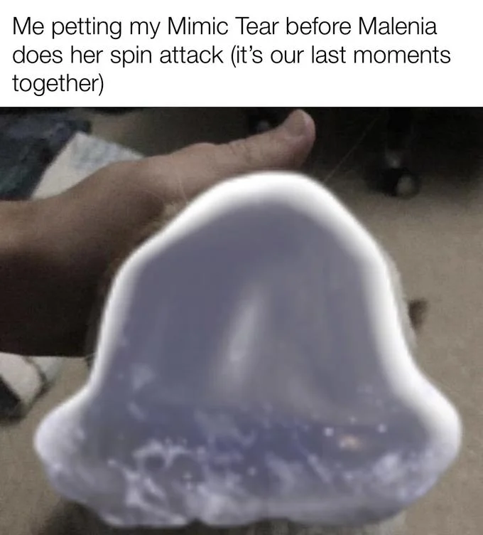 Mimic Tear and Malenia attack meme.