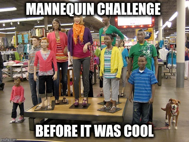 Iconic Mannequin Challenge execution in retail environment.