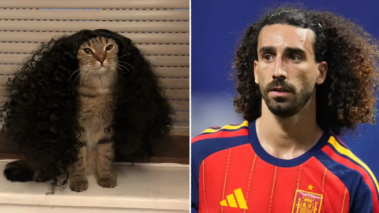 Marc Cucurella Cat