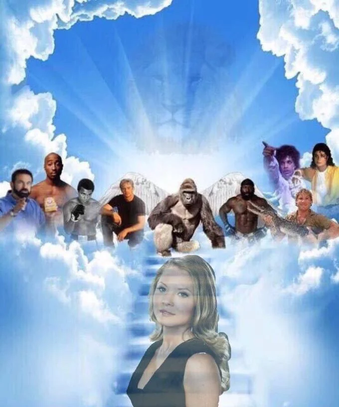 A humorous Meme Heaven remix featuring an inflatable turtle pool float ascending to join Harambe and the departed icons.