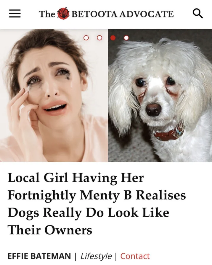 Satirical news outlet coverage of the trending meme.