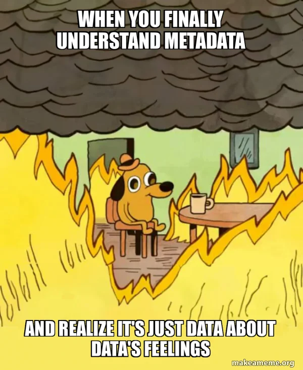 Resigned acceptance of metadata collection reality.