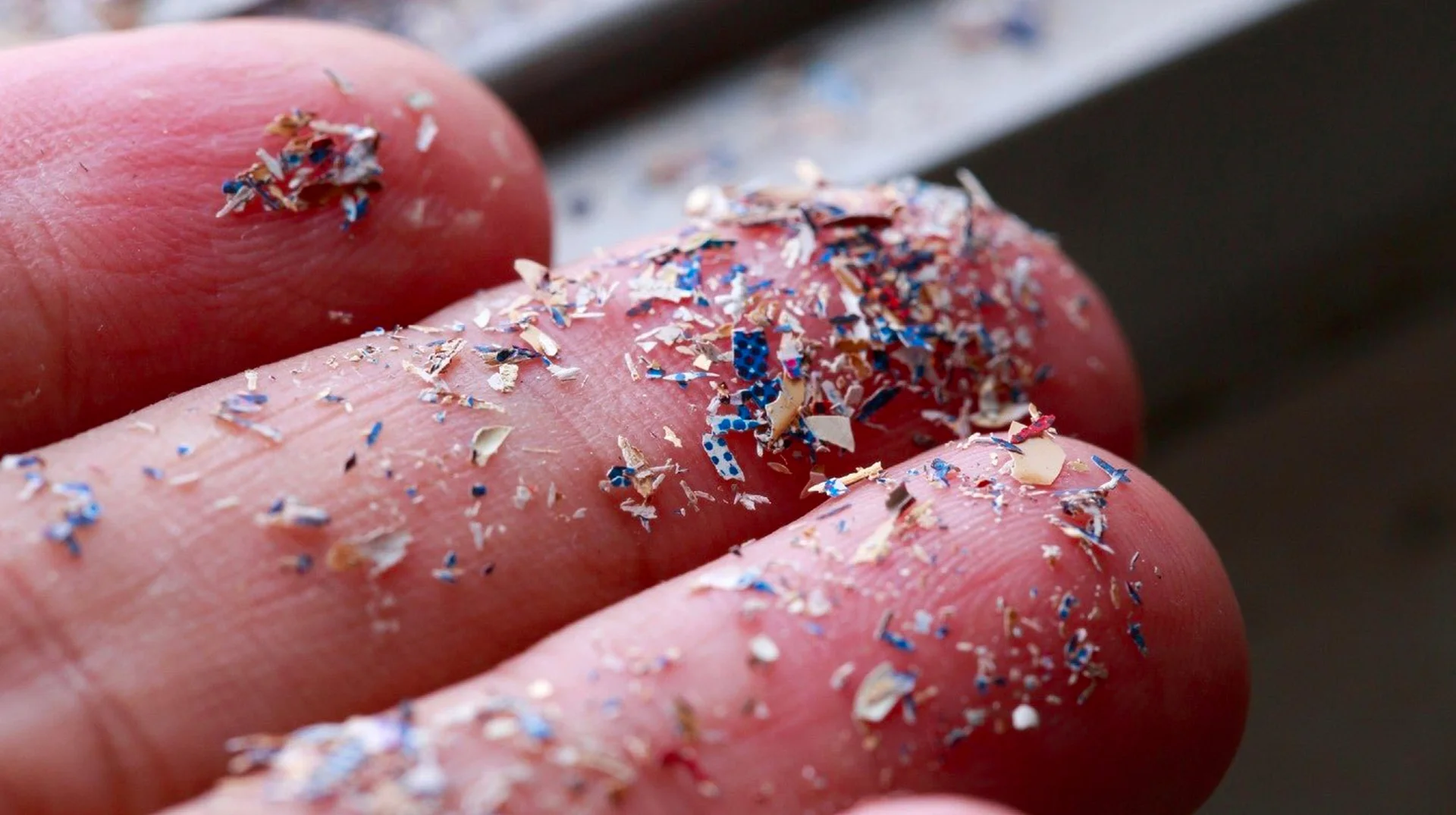A close-up image of microplastic particles collected on a person's fingertips, illustrating how prevalent the pollutant has become.