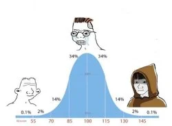 The definitive template format for judging anything mediocre.