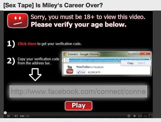 The scam's fake verification flow tricked users into pasting a code that hijacked their Facebook account.