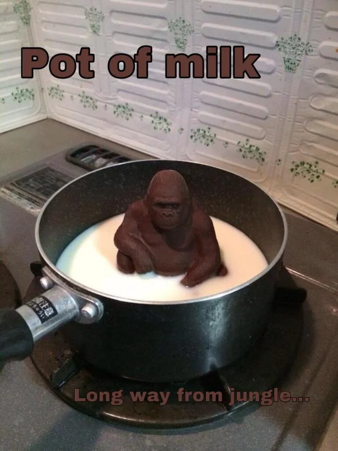 An early single-panel variant showing the intact chocolate gorilla in the pot before melting, with a wistful caption.