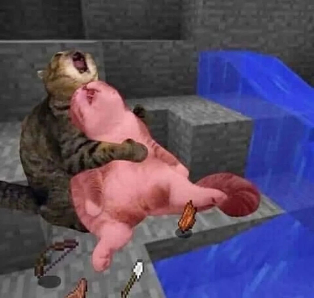 Minecraft Memes