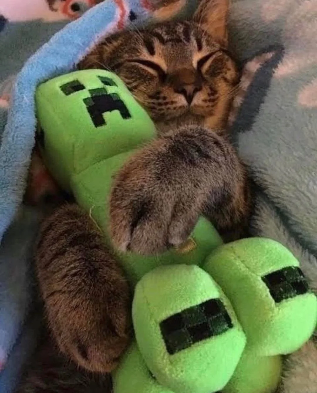 Minecraft Memes