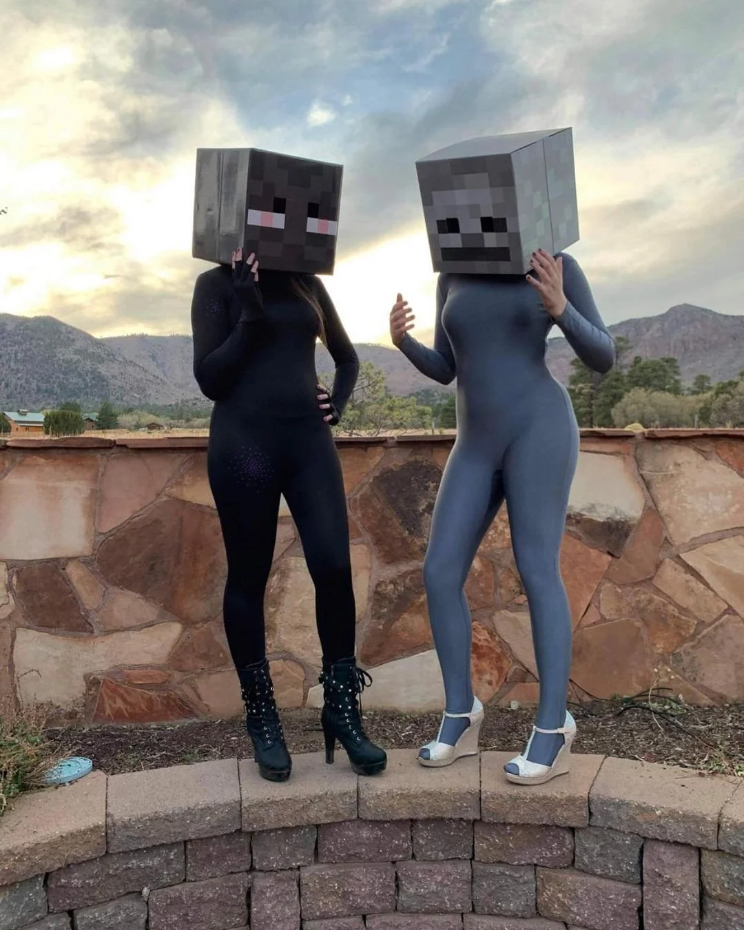 Minecraft Memes