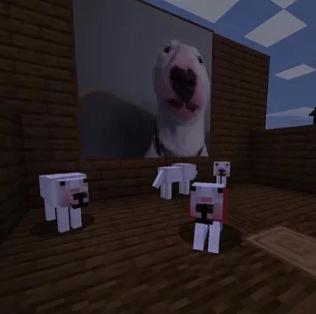 Minecraft Memes