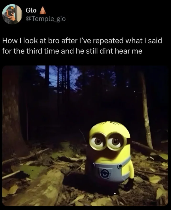 A tweet from @Temple_gio that helped popularize the minion-in-the-forest as a reaction to being ignored.