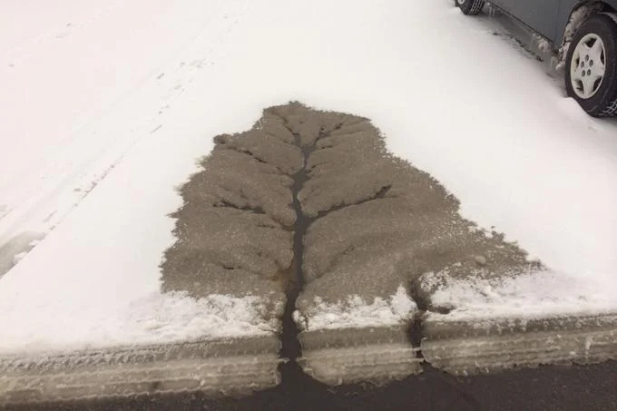 Snowmelt slush forming a natural tree-like pattern in the street, a real-world moment of pareidolia frequently shared under the misleading-thumbnails theme.