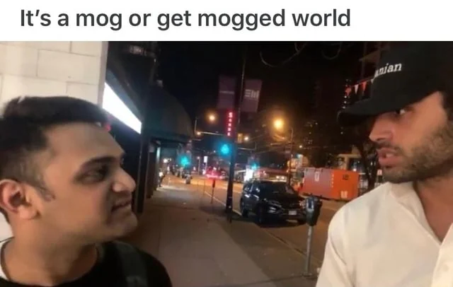 Mogging