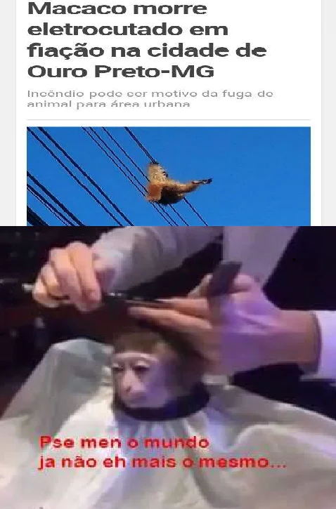 A Brazilian remix pairing news of a monkey's death with the haircut still, mourning that 'the world isn't the same anymore.'