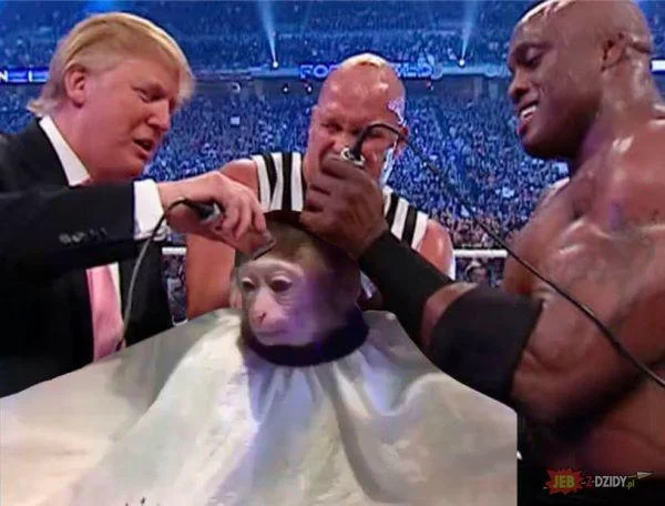 A remix framing the monkey's stylist as a serious clinic doctor, poking fun at hair-loss and transplant advertising.