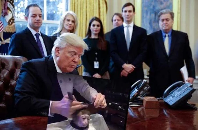 A photoshop edit inserting the monkey haircut image into the widely-parodied Trump Oval Office 'holding a picture' template.