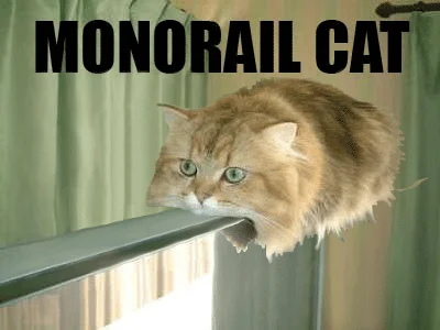 Animated version of canonical meme image.