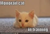 Derivative applying concept to training joke.