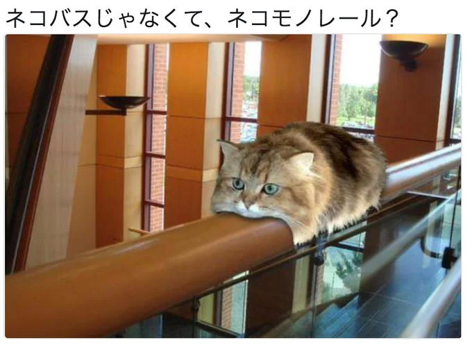 Monorail Cat meme in international context.