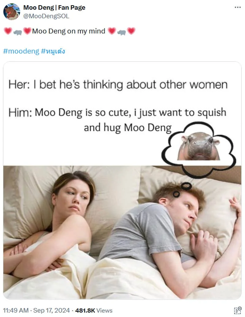 Thinking about Moo Deng tweet.