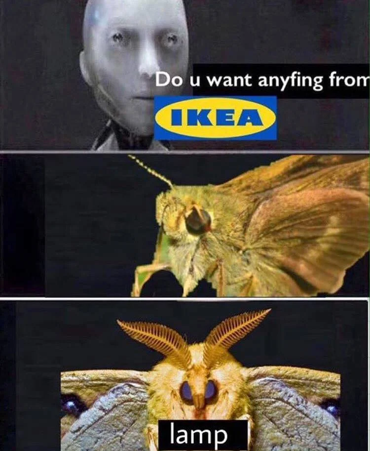 Satirical portrayal of moths' singular light obsession.