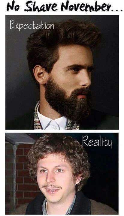 The classic 'Expectation vs Reality' meme for No Shave November, humorously highlighting the gap between the ideal Movember beard and its patchy reality.