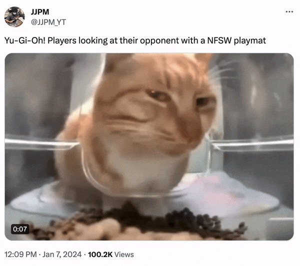 Mr Fresh Side Eye Cat