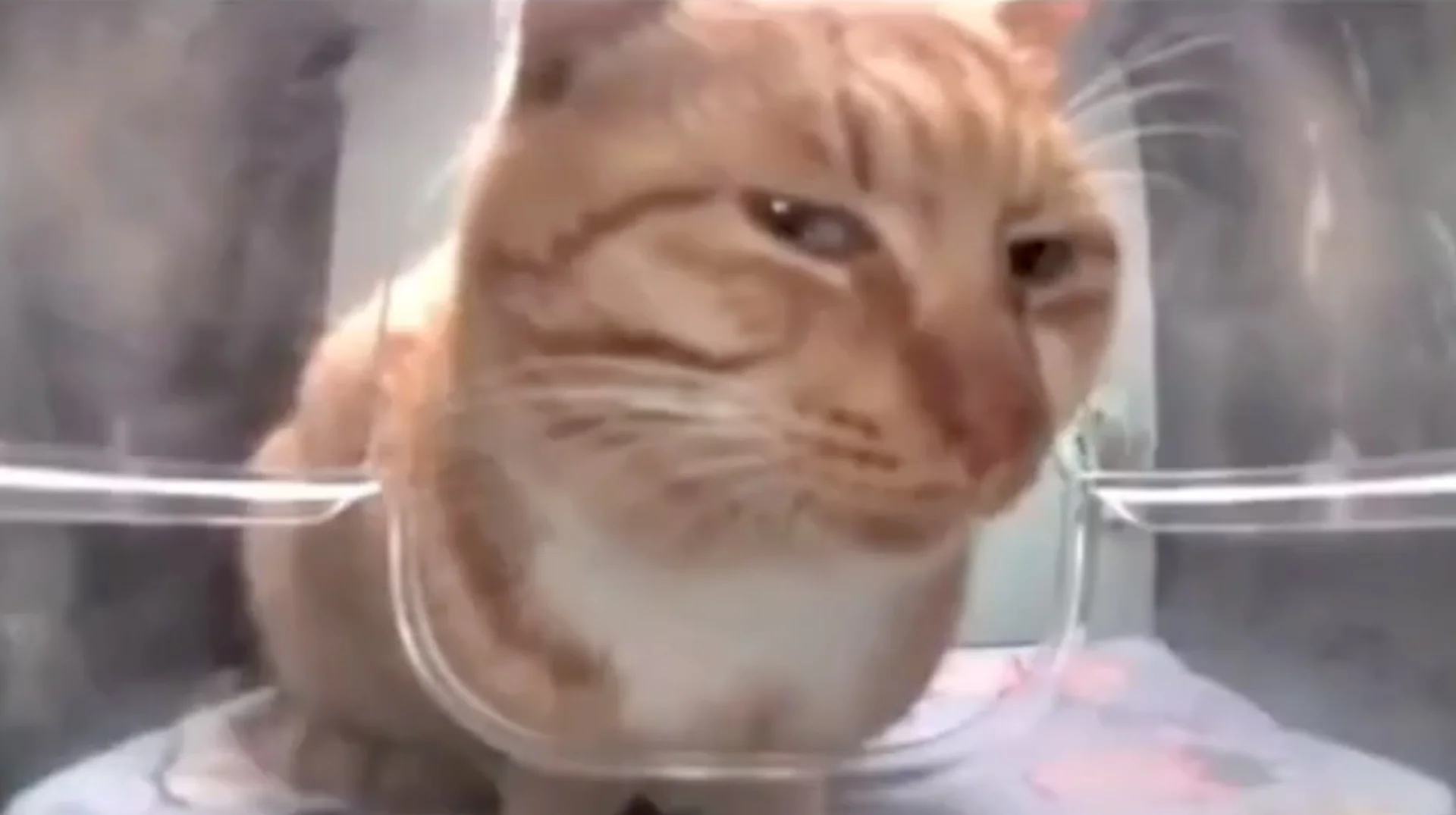 The iconic freeze-frame of Mr. Fresh delivering his signature side-eye glare, the still that launched the meme's viral spread.