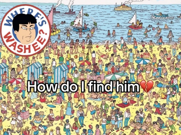 A 'Where's Wally' parody rebranding the puzzle as 'Where's Washee?', extending the meme into pop-culture crossover territory.