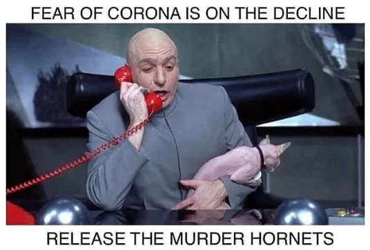 Conspiracy-tinged humor about shadowy disaster deployment.