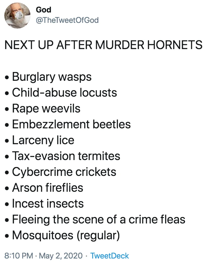 Comedic escalation of 2020 absurdity premise.