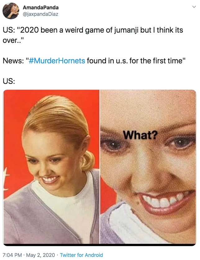 Murder Hornet Invasion