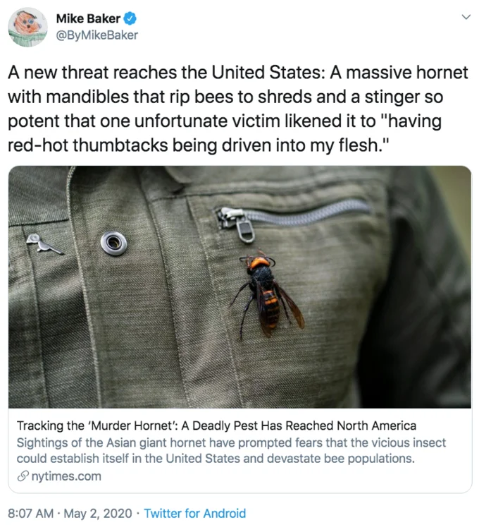 Early viral tweet kicking off the meme wave.