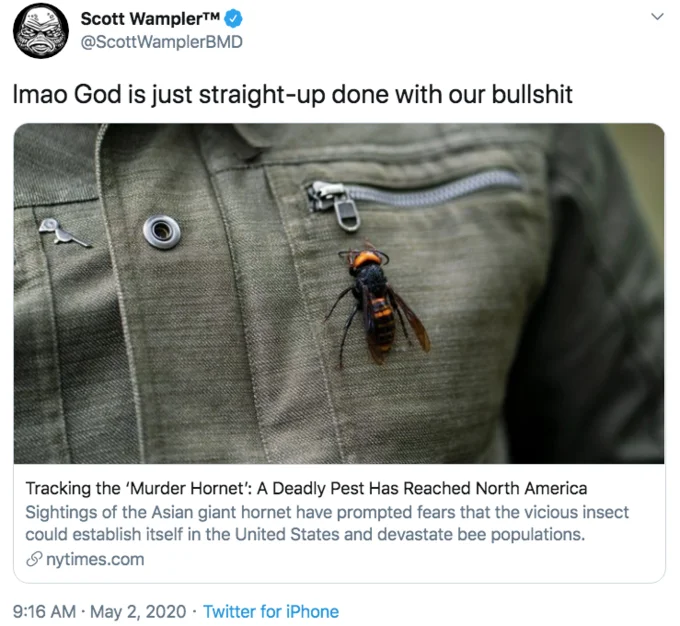 Darkly humorous fatalism defining the meme trend.