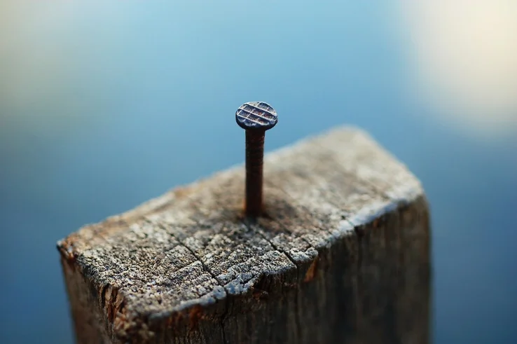 The literal 'nailed it' image commonly used as the icon for the meme, depicting a nail driven into a wooden block.