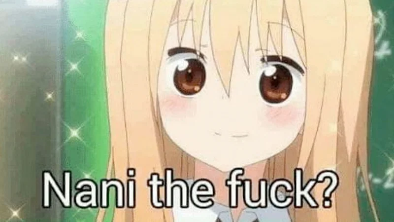 The iconic 'Nani the fuck?' image macro featuring a smug blushing anime girl, widely shared as a reaction image online.