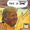 'This Is Fine' meme parody with Trump saying 'Terrific.'