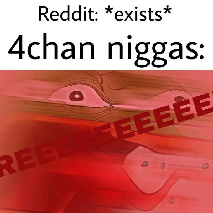 A '4chan niggas be like' variant depicting the stereotypical enraged 4chan user reaction to Reddit.