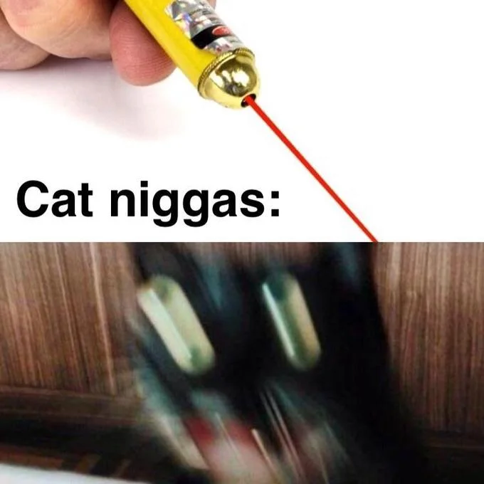 A 'Cat niggas be like' variant depicting the frenzied reaction of cats to a laser pointer.