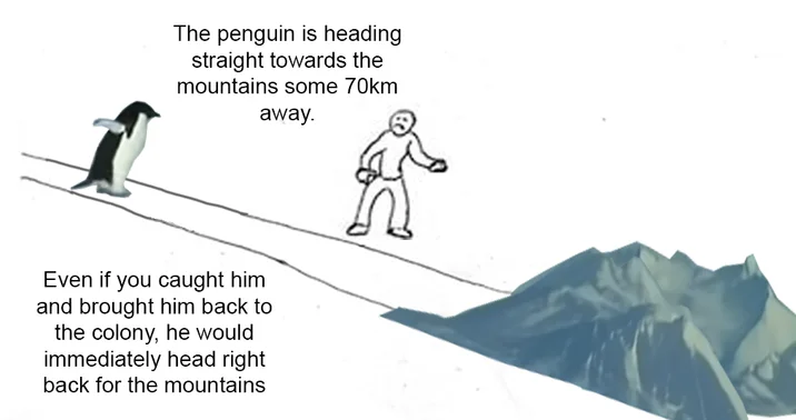 Diagram explaining penguin's 70km mountain drive.