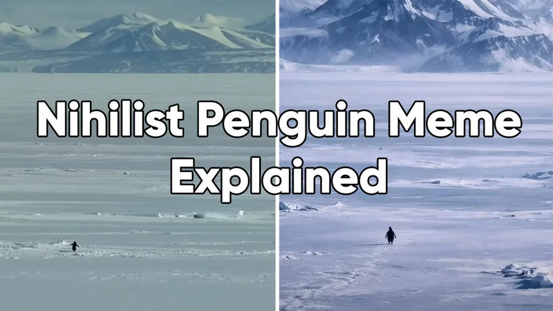 Nihilist Penguin meme explanation with mountain.