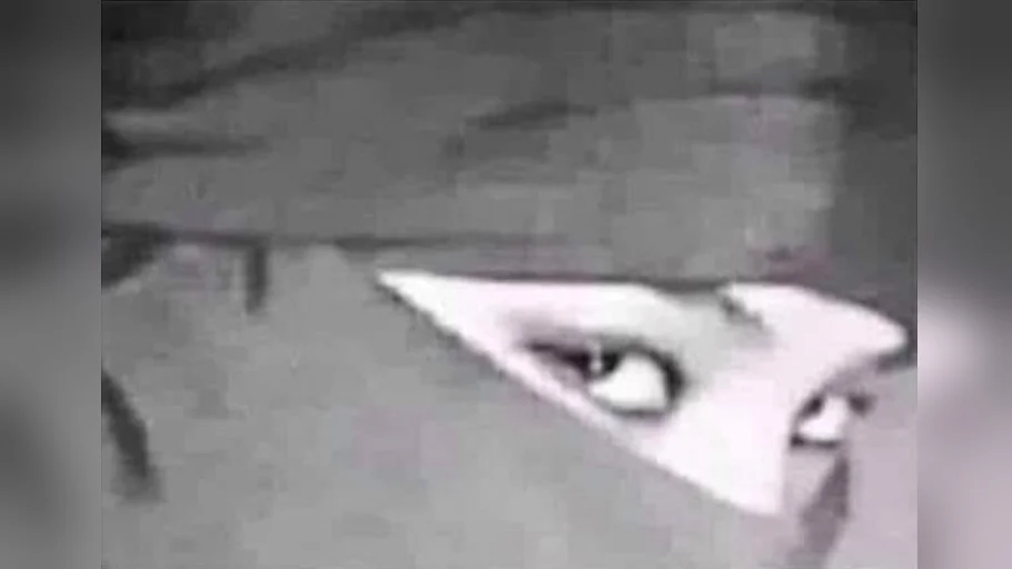 The source image of the Ninja Hood Flip meme, showing the triangular eye-slit that flips into a downturned frown when viewed upside down.