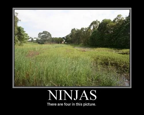 A demotivational-poster joke playing on the trope that ninjas are so stealthy they are invisible even when you know they are there.