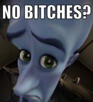 Clean 'No Bitches?' meme on dark background.